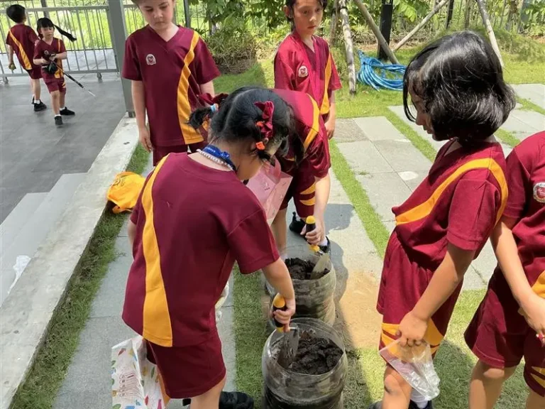 Primary 1 Explores Decomposition