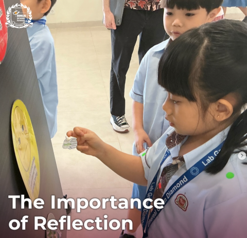 The Importance of Reflection Using the Traffic Light Feedback Strategy